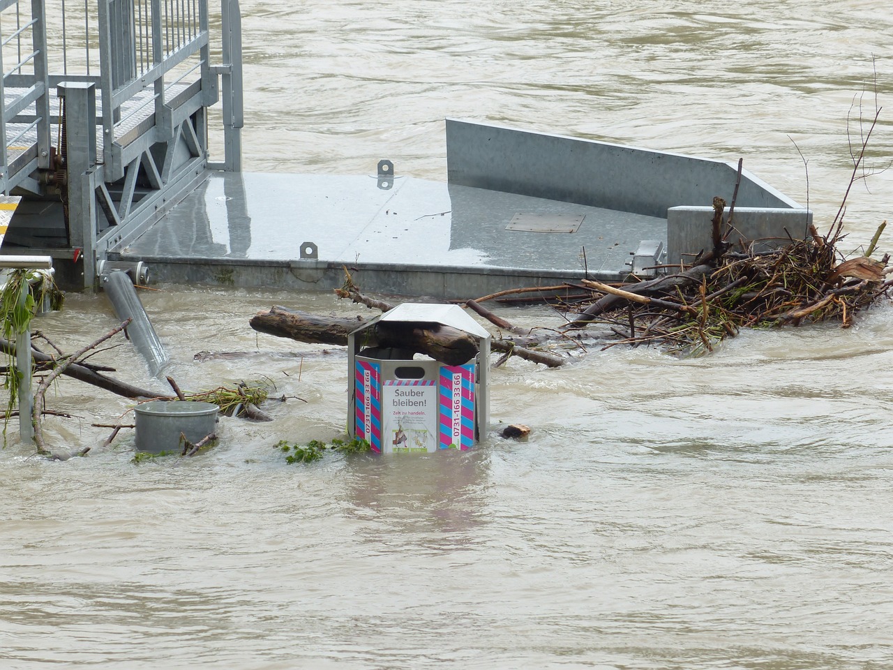 What to Do If Your Pet Gets Caught in a Natural Disaster